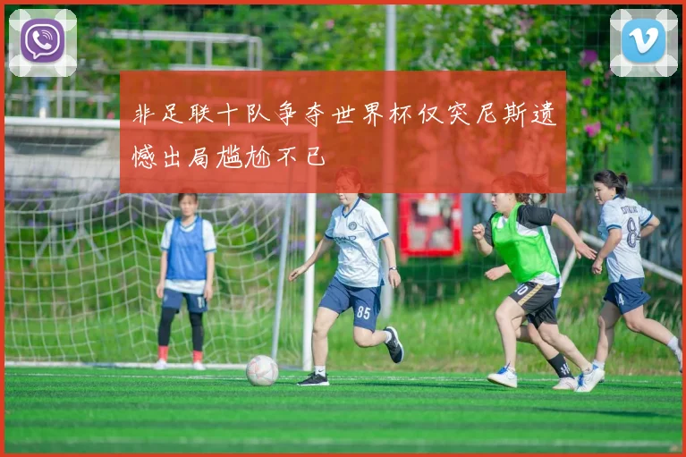 非足联十队争夺世界杯仅突尼斯遗憾出局尴尬不已